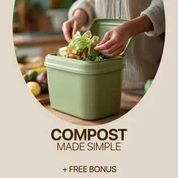 Best Compost Bin for Beginners: Tumbler vs Countertop vs Pile