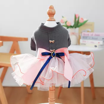 Dog Dress Fit Guide: Comfortable Chest & Neck